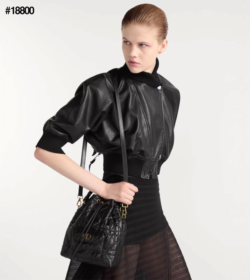 크리스찬 디올 Caro 스몰 버킷백