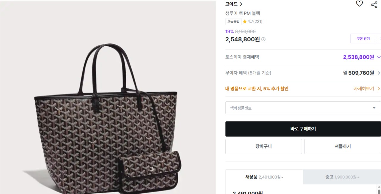 고야드 생루이 백 PM 블랙