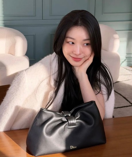 디올 Dior Bow 스몰 백 