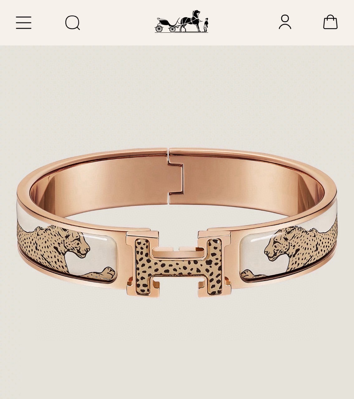 에르메스 H GUÉPARDS