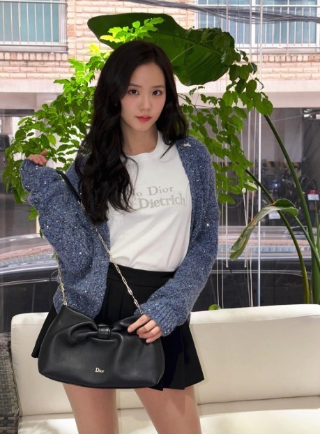 디올 보우 Dior Bow 스몰 백